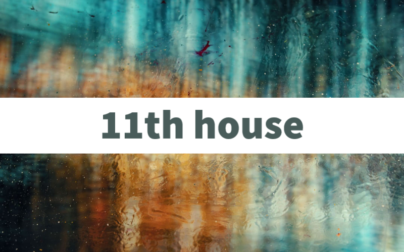 11 house in astrology