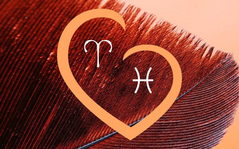 Aries and Pisces Compatibility in Love & Life A Daring Relationship