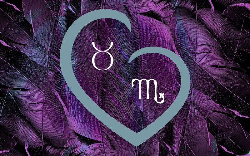 Taurus and Scorpio Compatibility in Love & Life A Meaningful Relationship